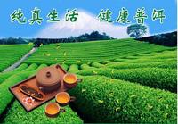 澜沧江原生普洱茶 产品稀有价值高