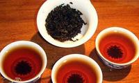 关于普洱茶的知识