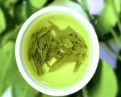 什么绿茶最香?信阳毛尖怎么样？
