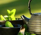 最好的绿茶是什么 西湖龙井排第一