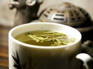 崂山绿茶为什么有名 北方长出的绿茶