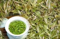 盘点崂山绿茶的三种常见茶形