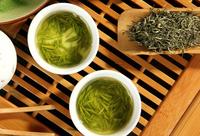 茉莉花茶属于绿茶吗