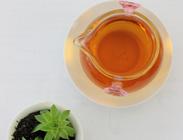 介绍关于滇红茶的茶史