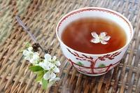 论红茶界“奇葩”正山小种