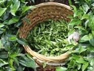 正山小种红茶保质期 做好保存更延期