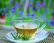 日照绿茶用什么茶具泡好喝呢?