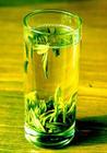 日照绿茶是什么?日照绿茶乃绿茶中的精品