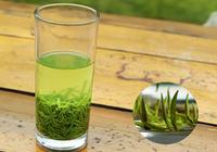 神经衰弱可以喝日照绿茶吗?