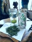 日照绿茶是属于绿茶吗?