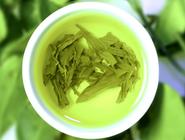 日照绿茶——山东人的骄傲