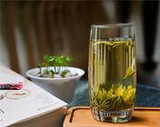 日照绿茶的特点有哪些?