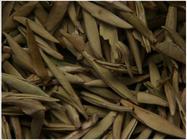 茶叶变质的环境条件和福鼎白茶储存