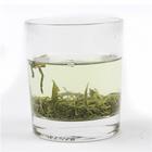 传统饮品铁观音属于绿茶吗？
