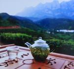 说一说庐山云雾茶文化是怎样的?
