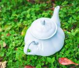 庐山云雾茶是绿茶品种吗?