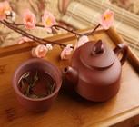 菊花茶是国内最受欢迎的花茶之一