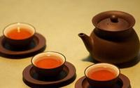普洱茶的泡法方法有哪些？