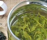 绿茶的功效与作用有哪些?