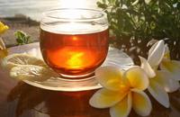 我国红茶的常见品种及特色