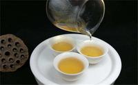 普洱茶熟茶的功效与作用及禁忌