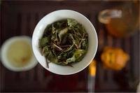 长期喝绿茶有没有副作用