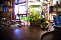 绿茶可以泡多久