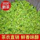 西湖龙井茶2020雨前龙井茶茶农直销500g