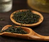 双井绿茶的采摘标准
