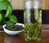 双井绿茶是什么茶
