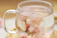 茶杯里赏樱花：盐渍樱花茶的功效有哪些