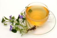 在寒冷的冬天喝紫罗兰花茶的功效有哪些