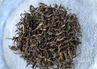 六堡茶为什么有采春社茶的习俗？