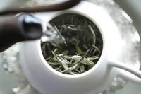 福鼎白茶的历史文化你都知道吗？