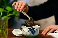 泾阳茯茶是什么茶？