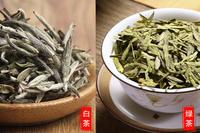 白茶和绿茶的区别有哪些？