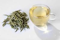 白茶是什么茶品种？