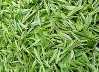 霍山黄芽和绿茶有什么区别？如何鉴别霍山黄芽？