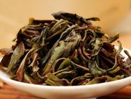 你知道凤凰单丛茶的香气是从哪里来的吗？