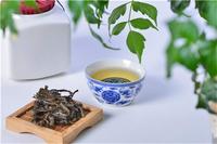 日照绿茶的品质决定因素是什么？
