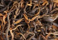 滇红茶有哪些品种划分？