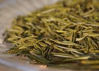 资溪白茶属于是什么茶？