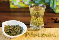 绿茶和白茶有什么区别？哪个好？