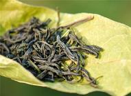 碧螺春是凉性还是热性碧螺春属于绿茶吗？